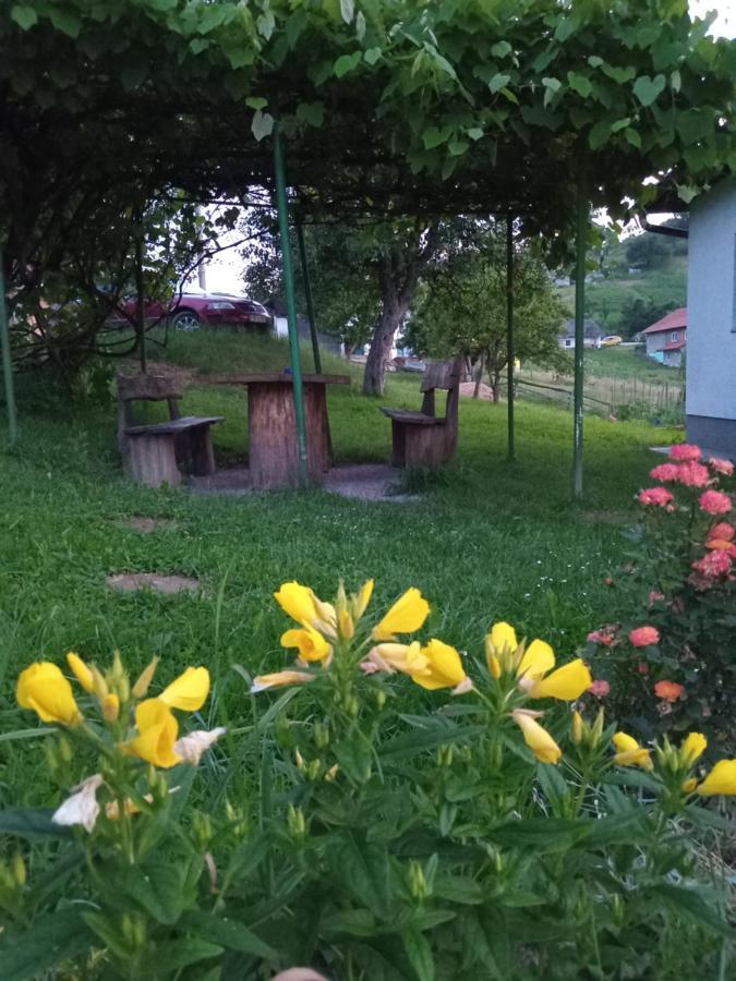 Zelena Oaza Daire Visoko Dış mekan fotoğraf